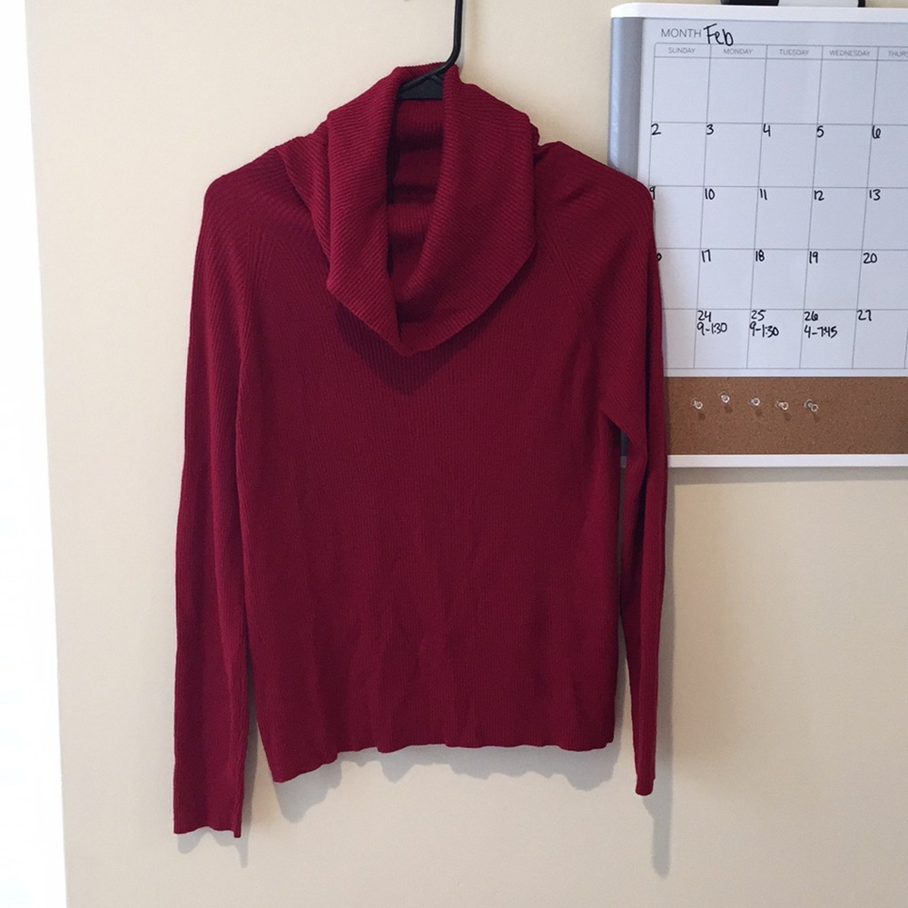 Red turtle neck shirt by Ann Taylor